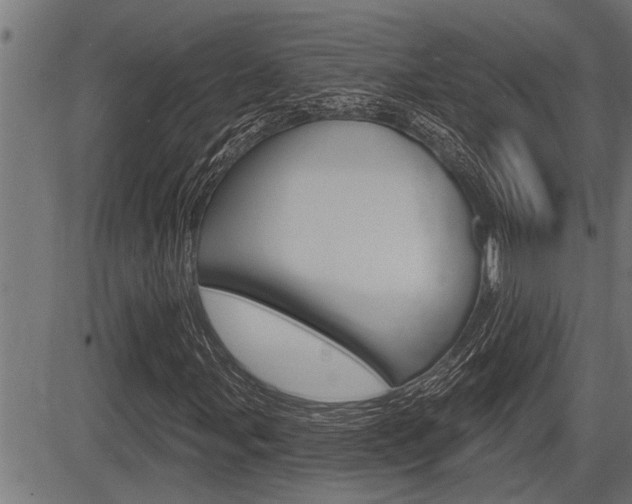 X0000083631107200702120719