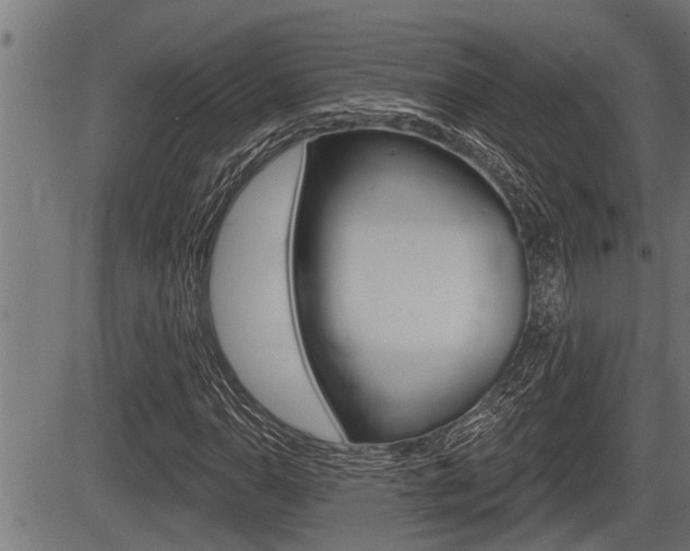 X0000083631110200702120719
