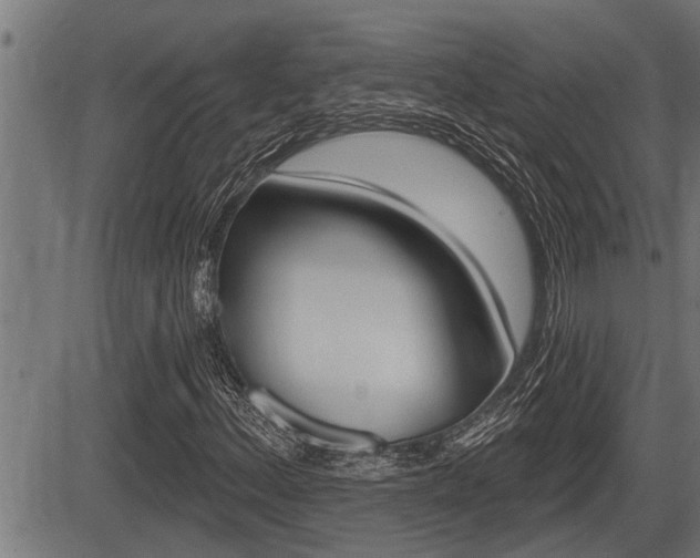 X0000083631156200702120719