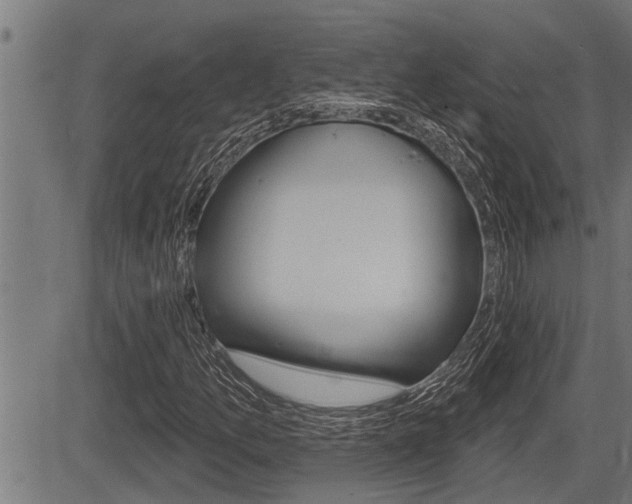 X0000083631157200702120719