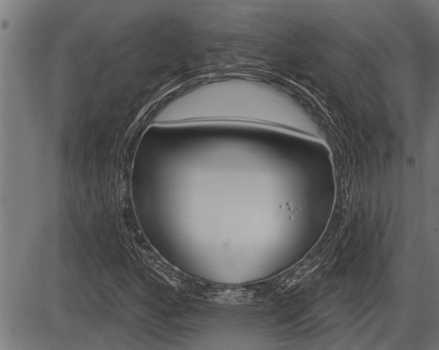 X0000083631160200702120719
