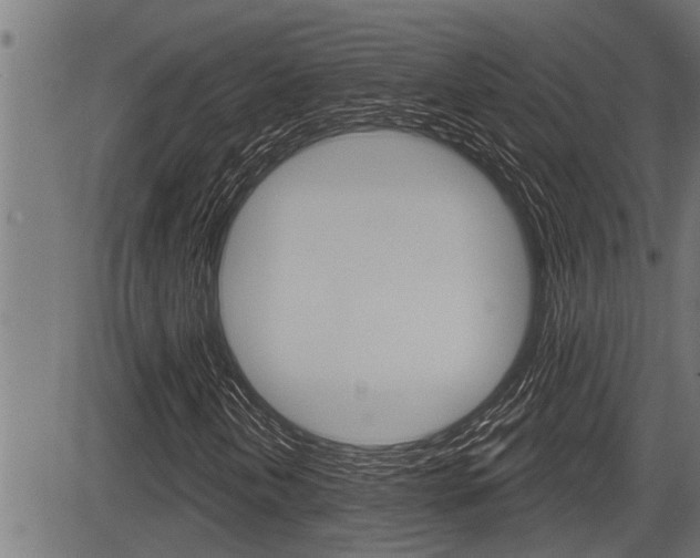 X0000083631202200702120718