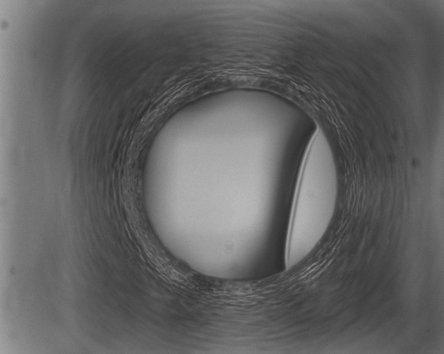 X0000083631249200702120718