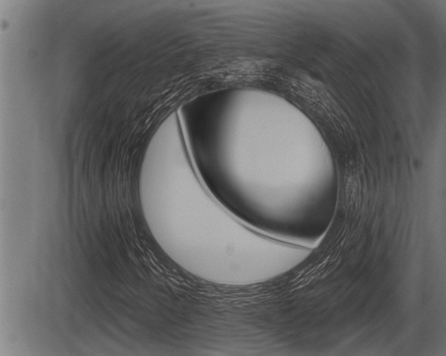 X0000083631250200702120718