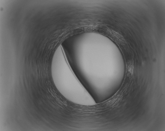 X0000083631252200702120718