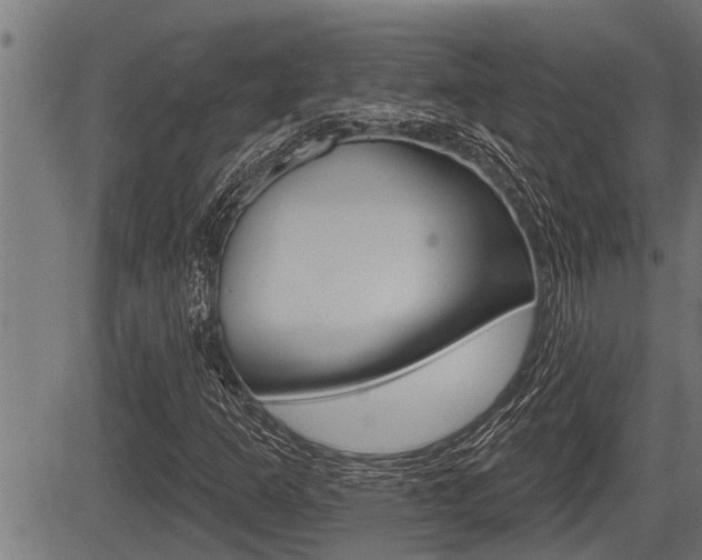 X0000083631253200702120718