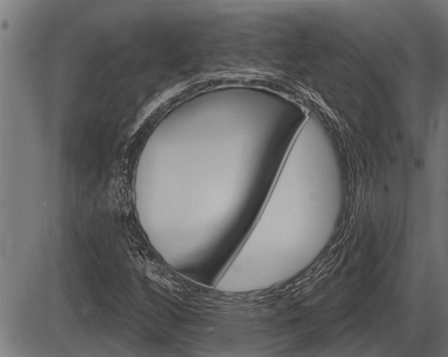 X0000083631256200702120717