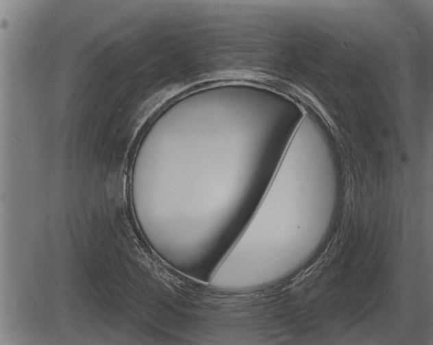 X0000083631268200702120717