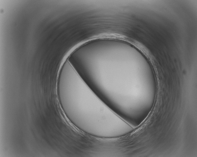 X0000083631296200702120717