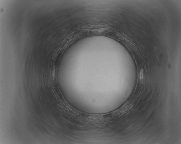 X0000083631299200702120716