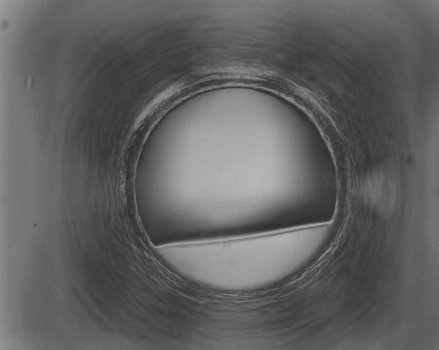 X0000083631307200702120716