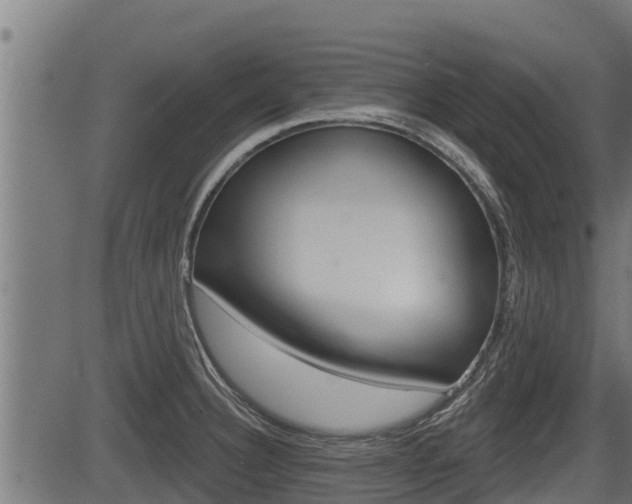 X0000083631332200702120717