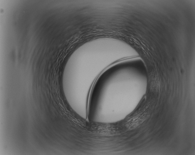 X0000083631345200702120716