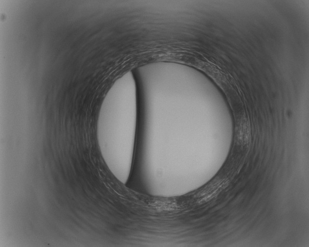 X0000083631346200702120716