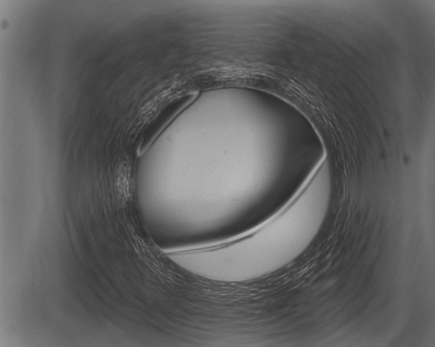 X0000083631348200702120716