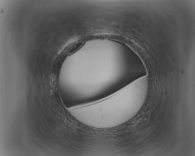 X0000083631351200702120716