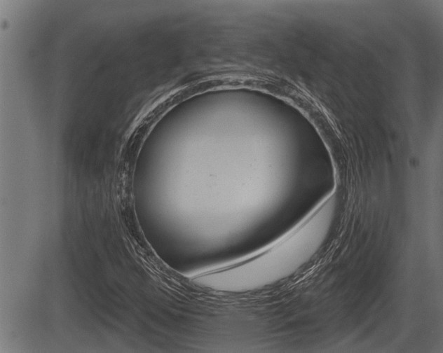 X0000083631352200702120716