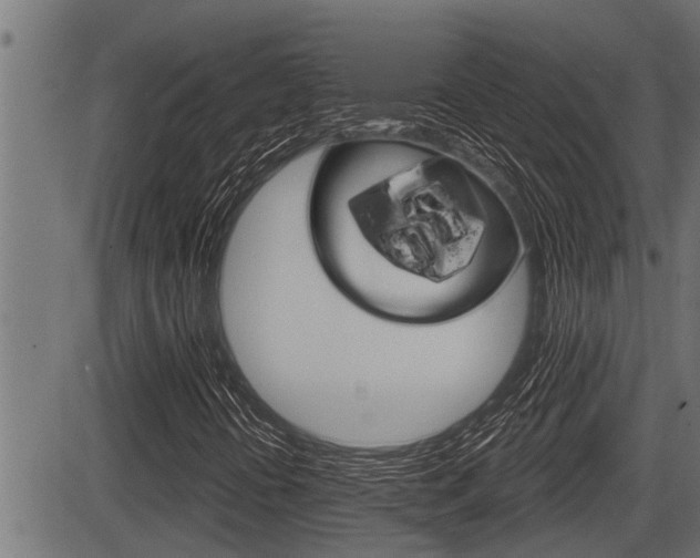 X0000083631394200702120715