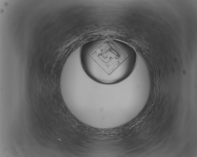 X0000083631398200702120715