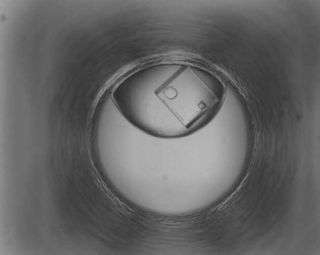 X0000083631410200702120715