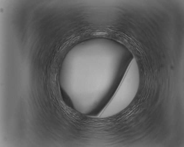 X0000083631441200702120714