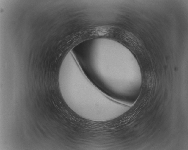 X0000083631442200702120714