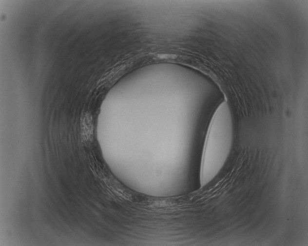 X0000083631443200702120714