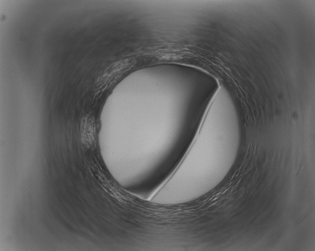 X0000083631444200702120714