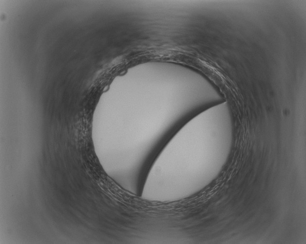 X0000083631447200702120714