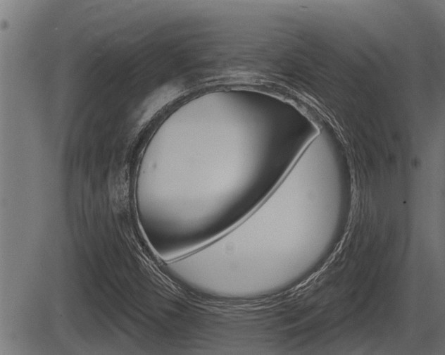 X0000083631450200702120714