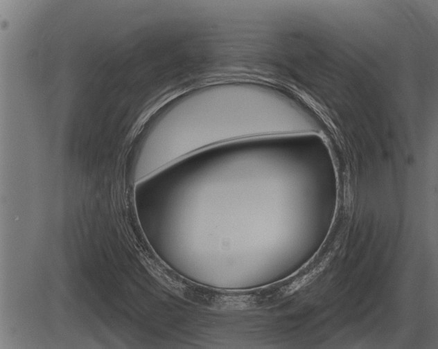 X0000083631453200702120714