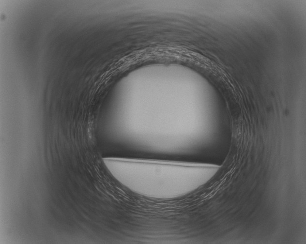 X0000083631490200702120713