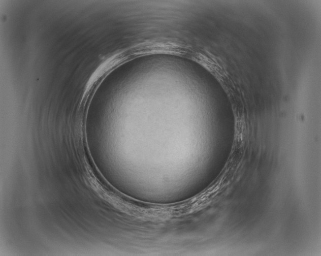 X0000083630004200702121217