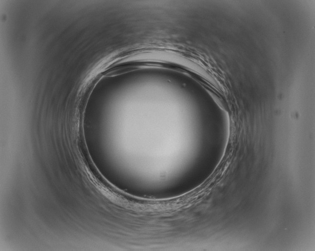 X0000083630005200702121217