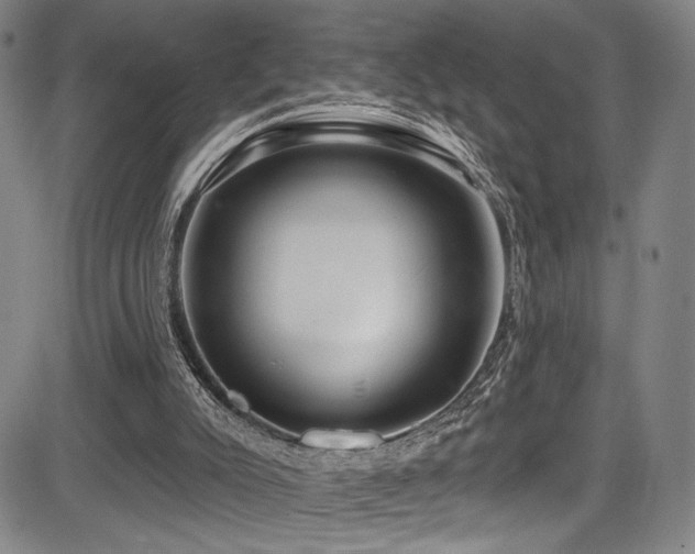 X0000083630007200702121217