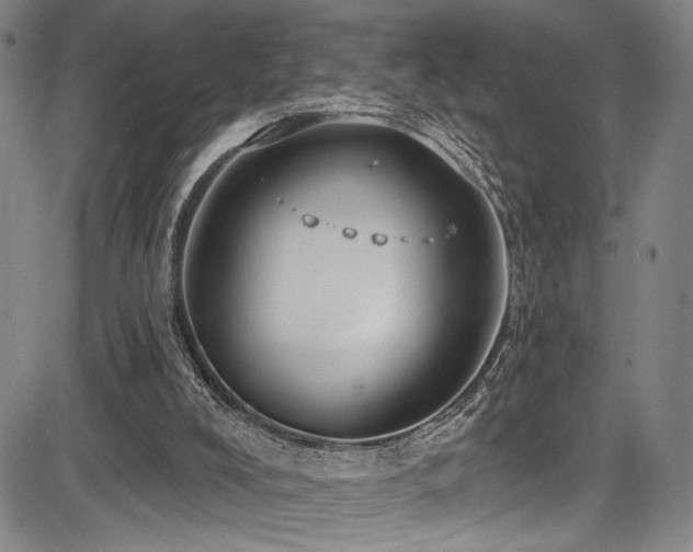 X0000083630008200702121217
