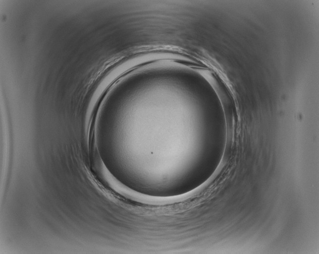 X0000083630013200702121217