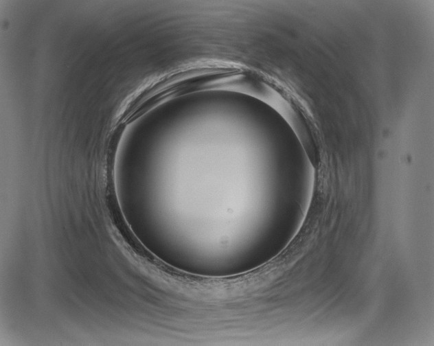 X0000083630015200702121217