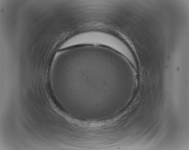 X0000083630018200702121217