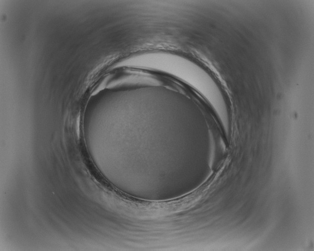 X0000083630019200702121217