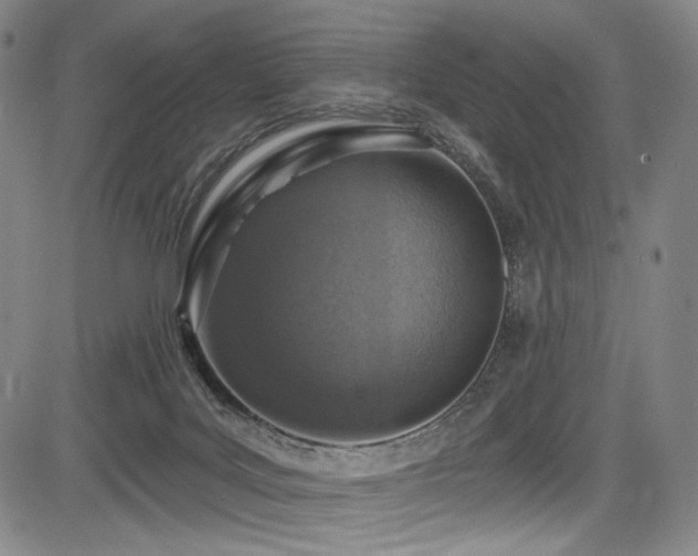 X0000083630027200702121217
