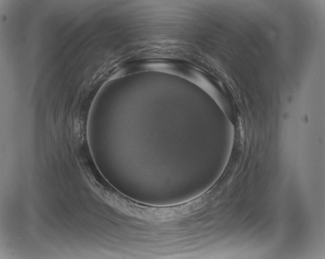 X0000083630031200702121217