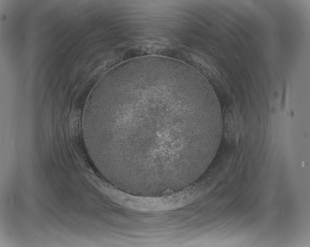 X0000083630034200702121217