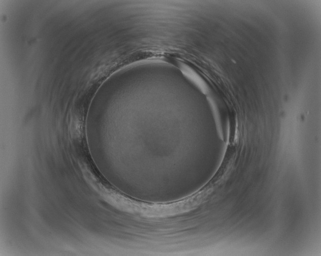 X0000083630039200702121217