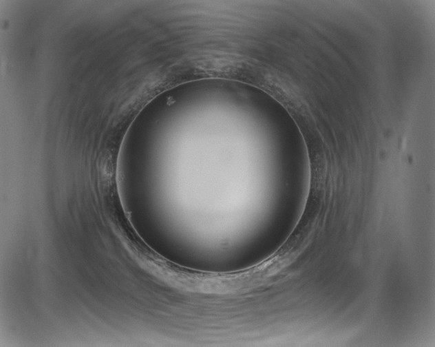 X0000083630040200702121217