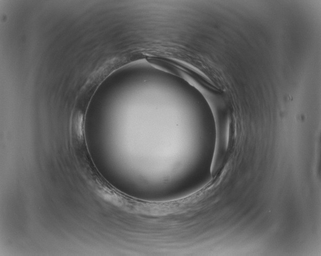 X0000083630041200702121216