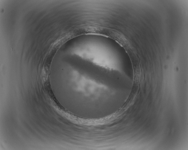 X0000083630043200702121216