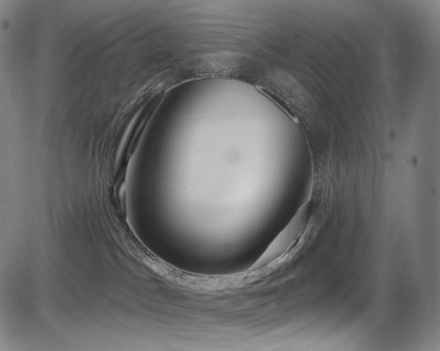 X0000083630045200702121216