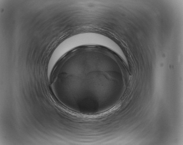 X0000083630048200702121216