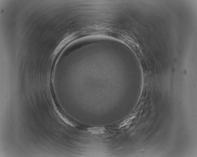 X0000083630051200702121216